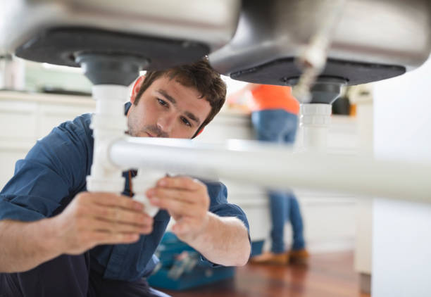 Best Plumbing Inspection Services  in Darien, IL