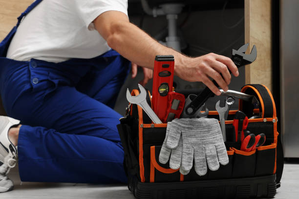 Best Plumbing Services Near Me  in Darien, IL